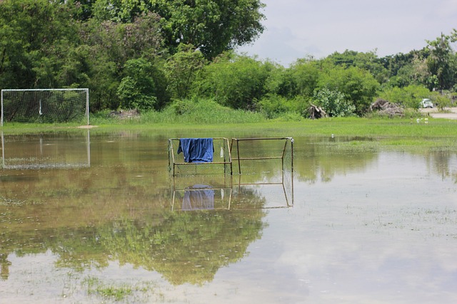 4月2日NBA常规赛推荐：猛龙VS公牛.