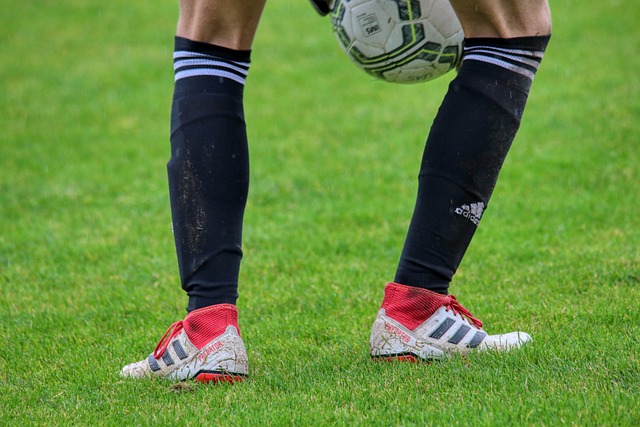 新华社权威快报丨40余万种图书亮相2025北京图书订货会.