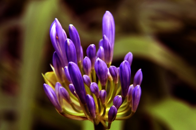 意甲第34輪國際米蘭3-1羅馬 勞塔羅破門B羅連場建功.